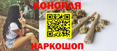 МДПВ Бийск