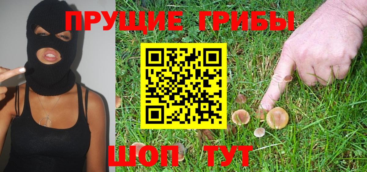 Псилоцибиновые грибы MAGIC MUSHROOMS  Вход с VPN  Галлюциногенные грибы мицелий  где купить наркоту  Изобильный 
